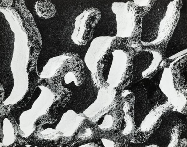 Wynn Bullock, Rock, 1971