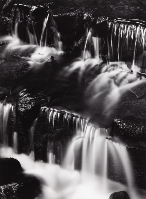 Ansel Adams, Fern Spring, Dusk, Yosemite, 1961