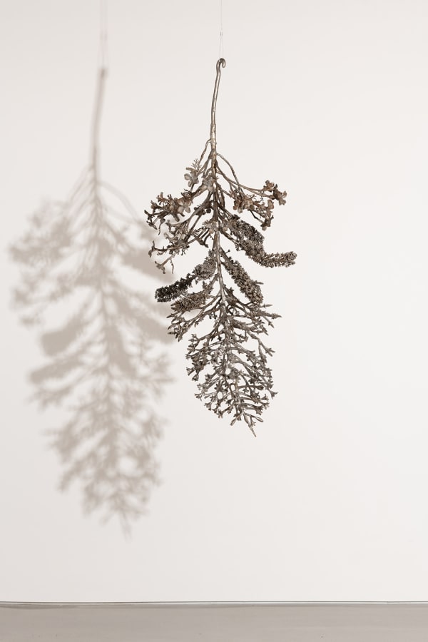 Carolyn Ottmers, Splice #8 (CO10LLOYDM), 2010