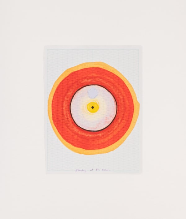 Diana Guerrero-Maciá, Staring at The Sun, 2020