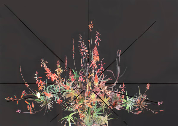 Other Works