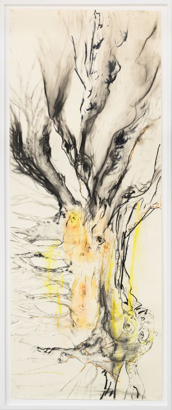 Jacqueline Surdell, Origin Study (Human Measurements) 1, 2017-2025