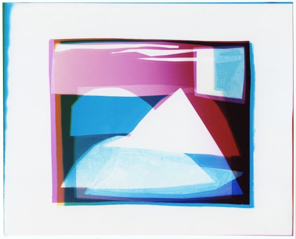 Liz Nielsen, TV Landscape, 2020