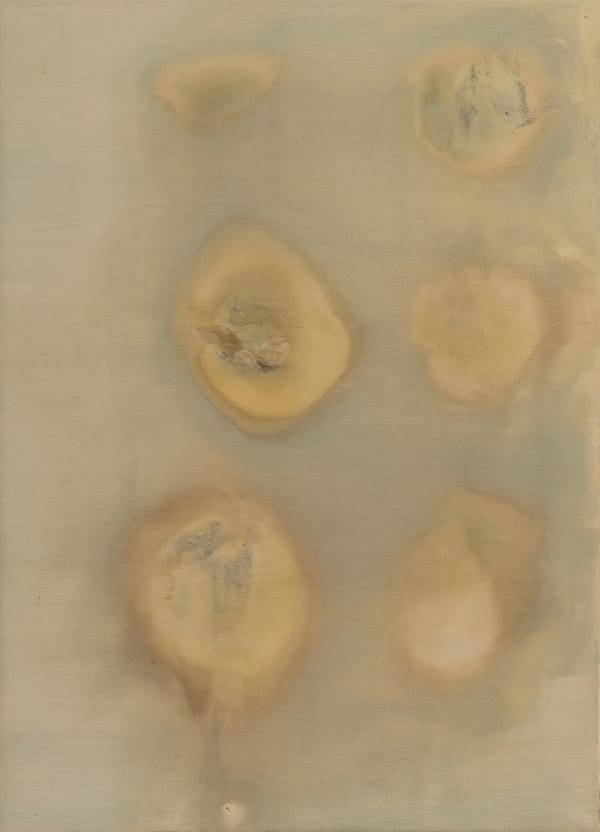 Noelle Africh, Amnesia, 2024