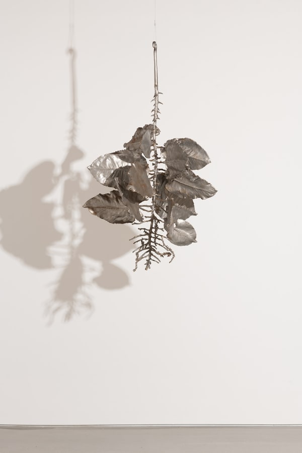 Carolyn Ottmers, Splice #13 (CO10DAVUI), 2010