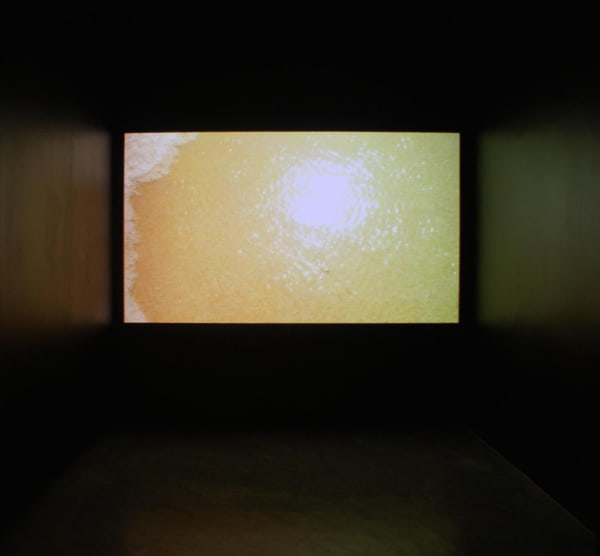 Agitation Figée, 2014