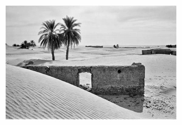 Zaafrane 21, 1996