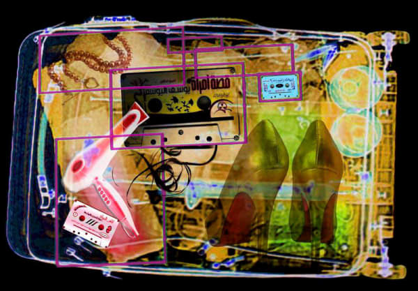 X-Rayed No.II, 2011