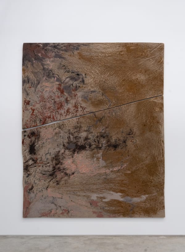 Blindness, Blossom and Desertification (diptych V), 2025