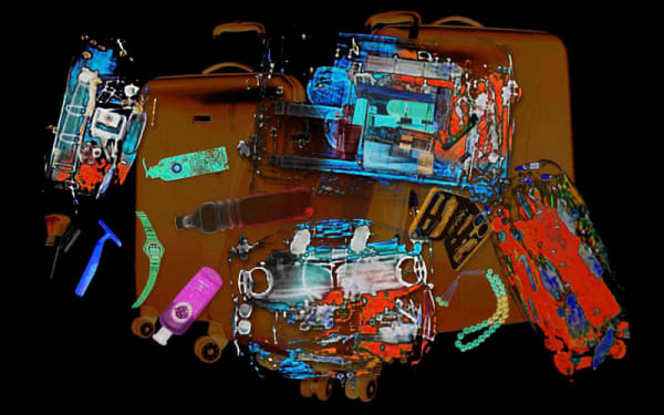 X-Rayed No.V, 2011