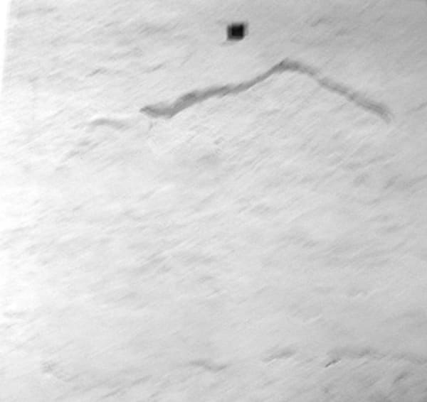 Untitled (Blanche No. XVII), 1996