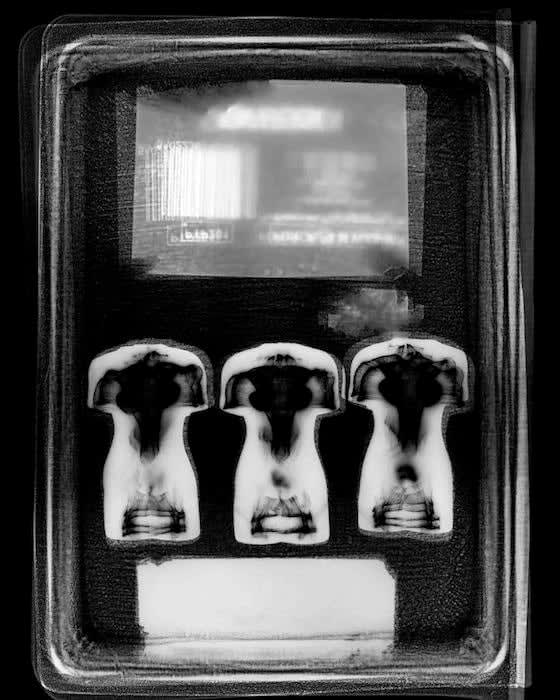 Pregnant X3, 2007