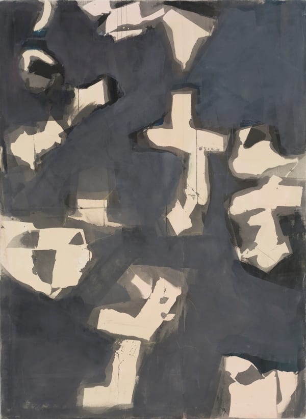 Transfigurations XIII, 2013
