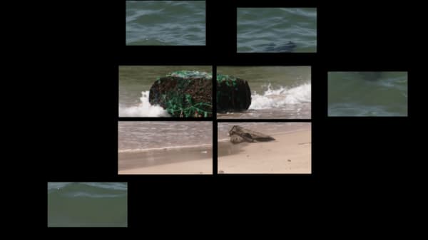 Floating Coffins, 2009
