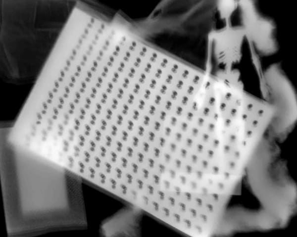 Arthritis, 2007
