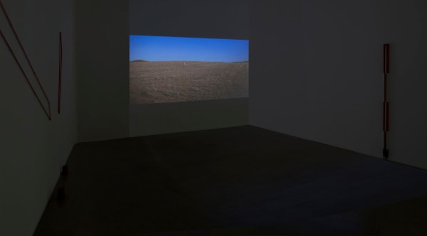 Tracer un territoire/Tracing a Territory, 2016