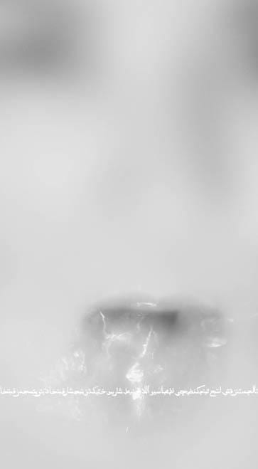 What the Water Gave Me No.III, 2009