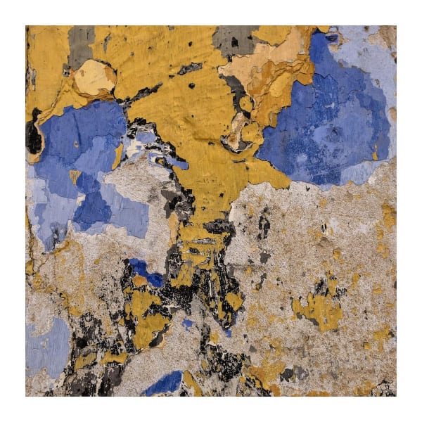 Untitled (Photographies No. IV), 2018