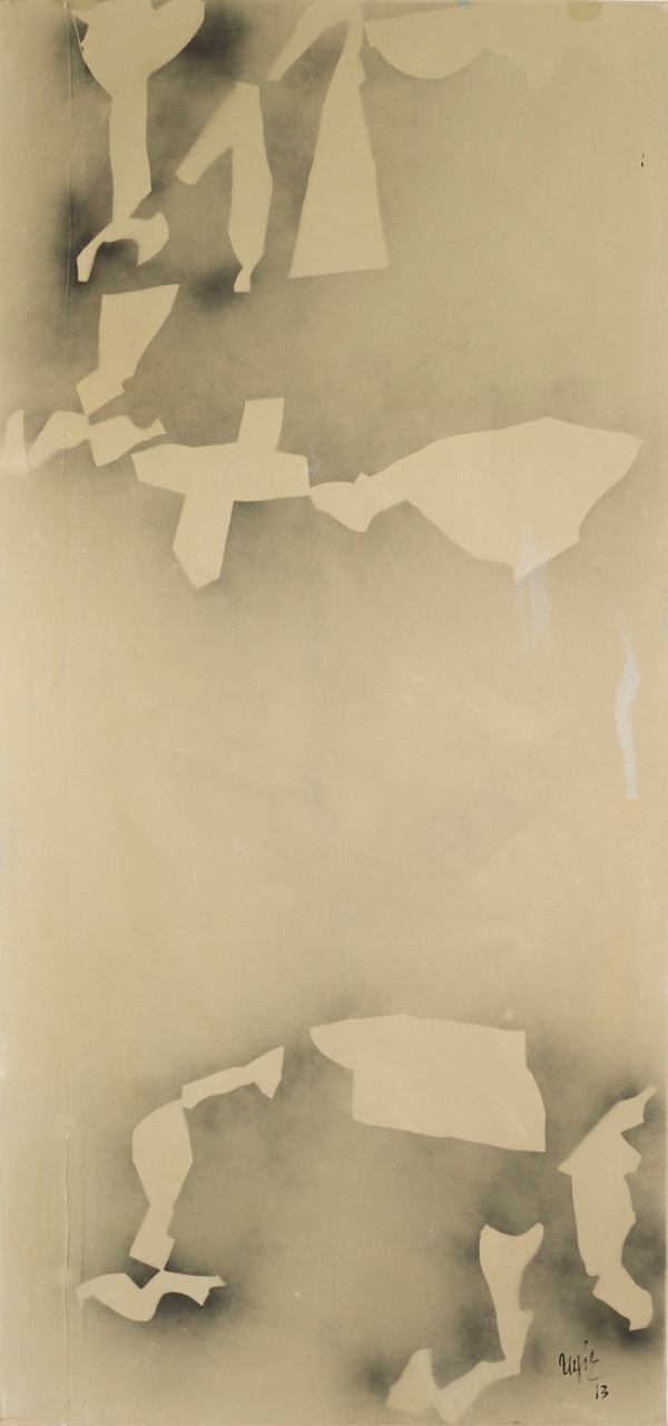 Transfigurations No.XIX, 2013