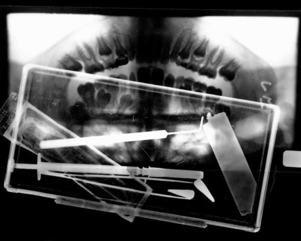 Orthodontics, 2007