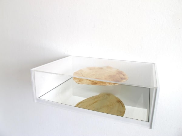 Non-Essentialism, 2014