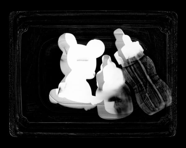 Mouse, 2007