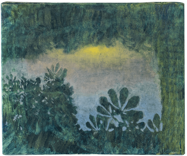 Canopy , 2019 - 2025