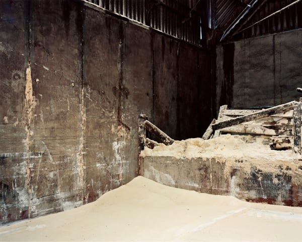Sugar Surfaces IV, 2013