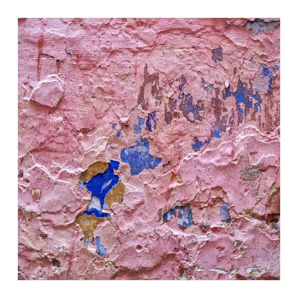 Untitled (Photographies No. XVI), 2018
