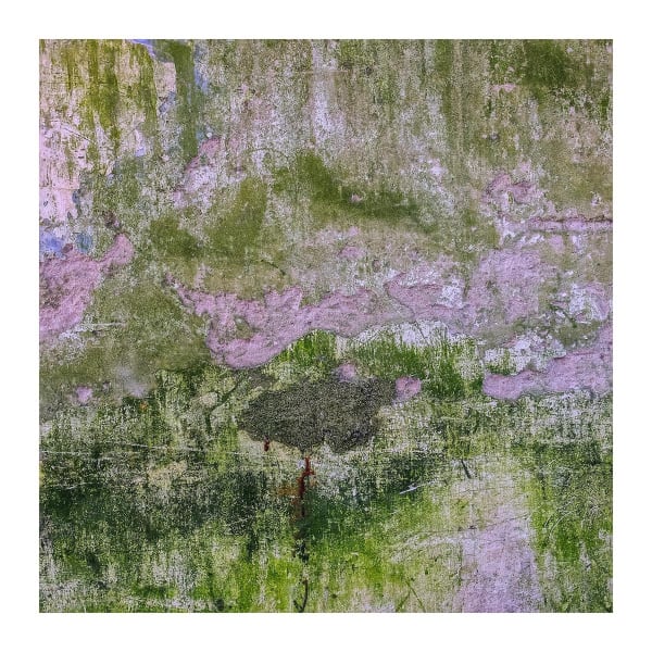 Untitled (Photographies No. XVII), 2018