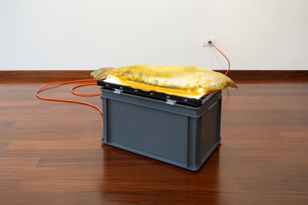 Byron Gago, Acid Arcs - Leviathan, 2025