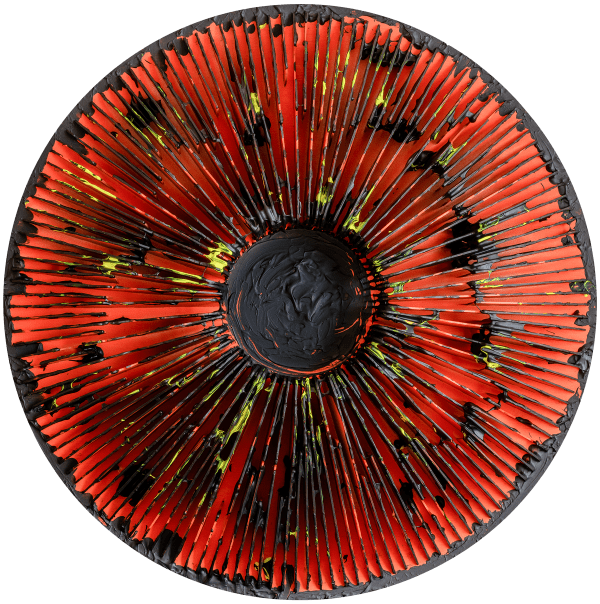 Vasily Klyukin, DSO16, 2019-2021