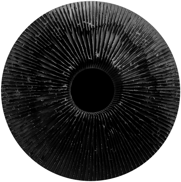 Vasily Klyukin, DSO6, 2019-2021