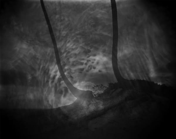 Sally Mann - Untitled, 1999