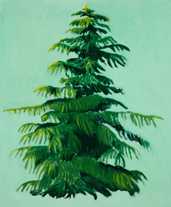 Tree Portrait #7: Scotland, Norway Spruce