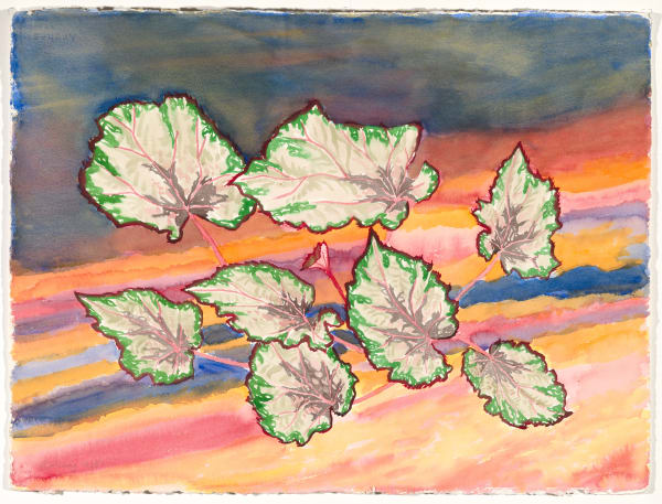 Janet Alling, Plant/Planet #10, 1985