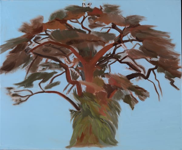 Tree Portrait #44: Botswana, with fish eagles