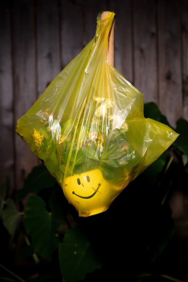 Outdoor Recreation 11