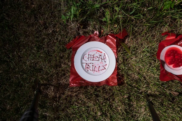 Cheap Trills (Outdoor Recreation 1)