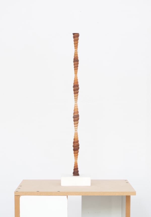 Katarzyna Przezwańska, shell tower, 2025