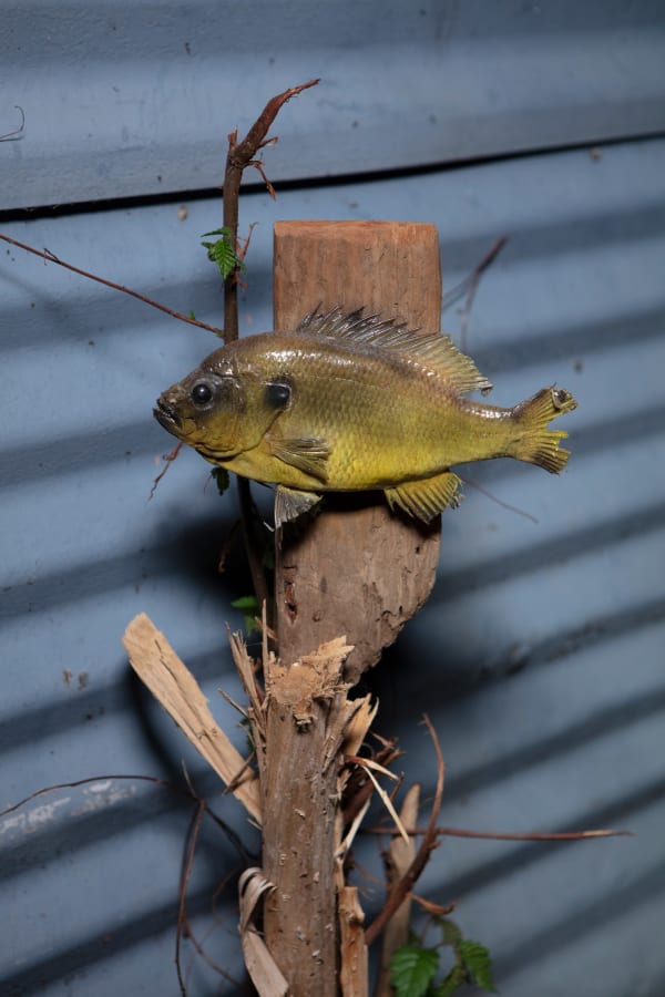 Outdoor Recreation 17