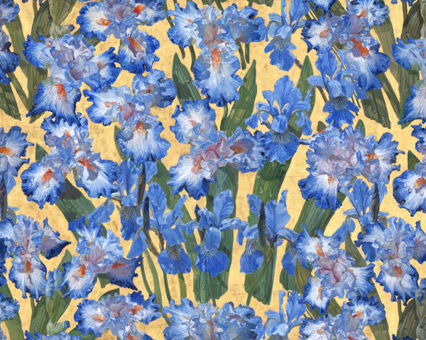 JOSEPH SEVIER, Iris Repeat I, 2020