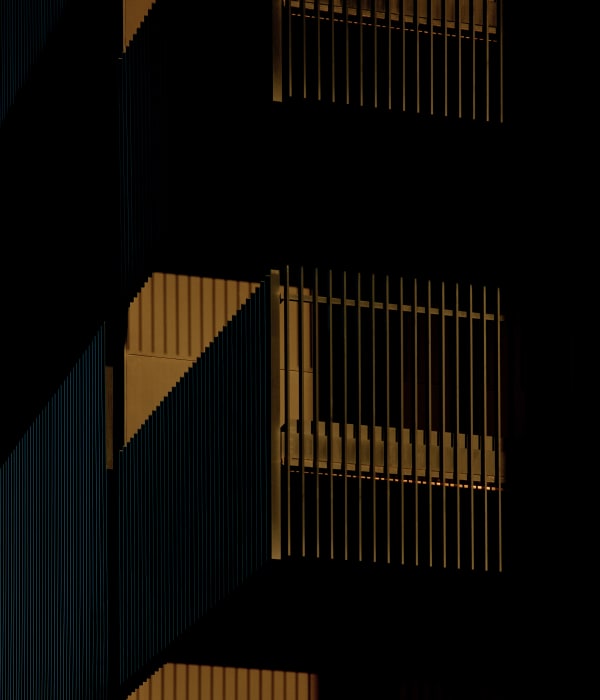 Ashini Nanayakkara Dark City, 2021 Archival Pigment Inkjet Print 90 x 77 cm 35 3/8 x 30 1/4 in Edition of 1 plus 1 artist's proof