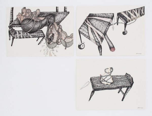 Pakkiyarajah Pushpakanthan, THE DISAPPEARANCE OF DISAPPEARANCES X, 2018