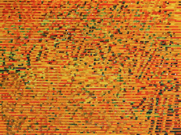 Chandraguptha Thenuwara, Protest, 2017