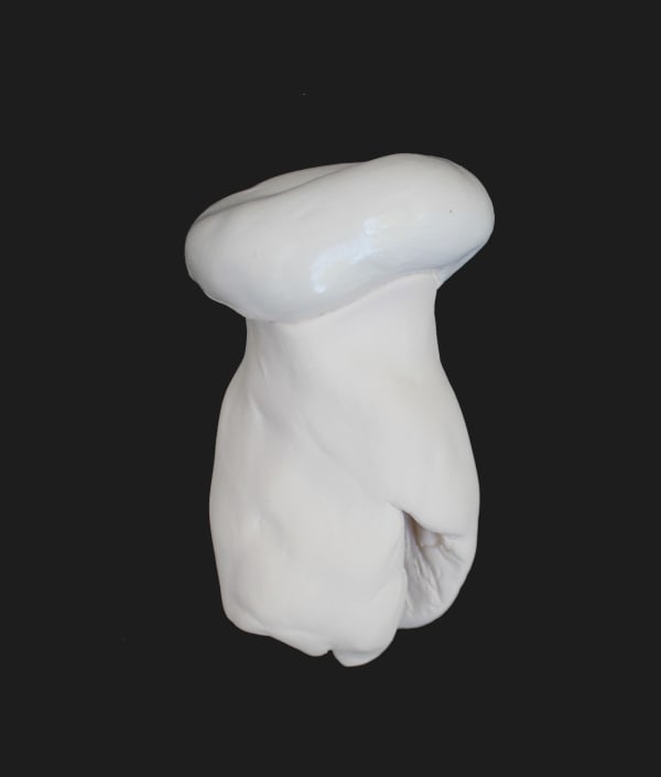 Fabienne Francotte, Still Life | Nature Morte 12, 2022