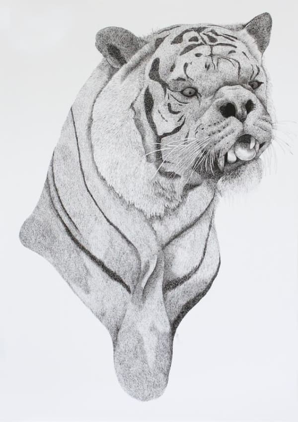 Firi Rahman Mongrel, 2016 Pen on paper 100 x 71 cms 39 37/100 x 27 19/20 inches