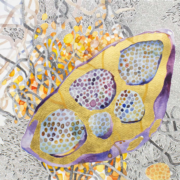 Shaanea Mendis Celestial Fruit, 2023 Watercolor, Goldleaf, Graphite pencil, Ink and Pen on Paper 26 x 26 cm 10 1/4 x 10 1/4 in