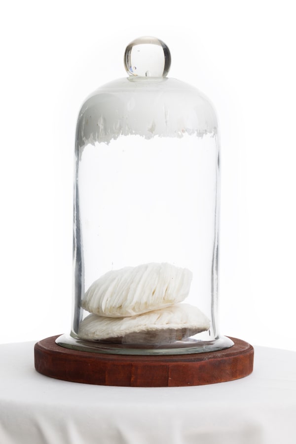 Dumiduni Illangasinghe Fragmented Emergence, 2024 Rubber and Plasticine Clay 25 x 12 cm 9 7/8 x 4 3/4 in