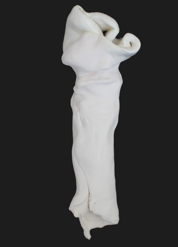 Fabienne Francotte, Still Life | Nature Morte 7, 2022